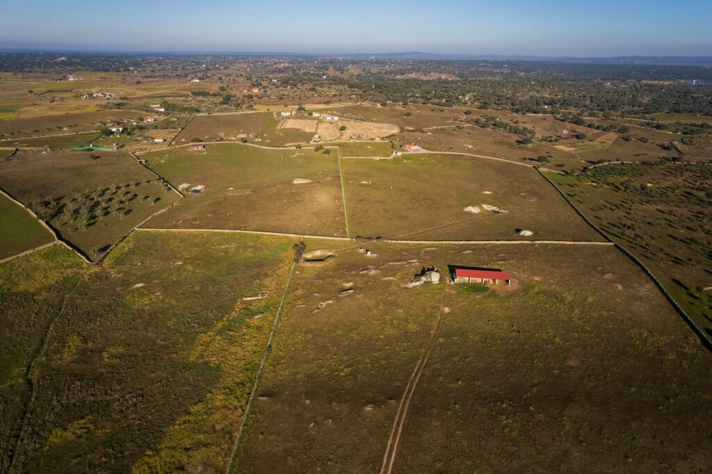 Undeveloped Land