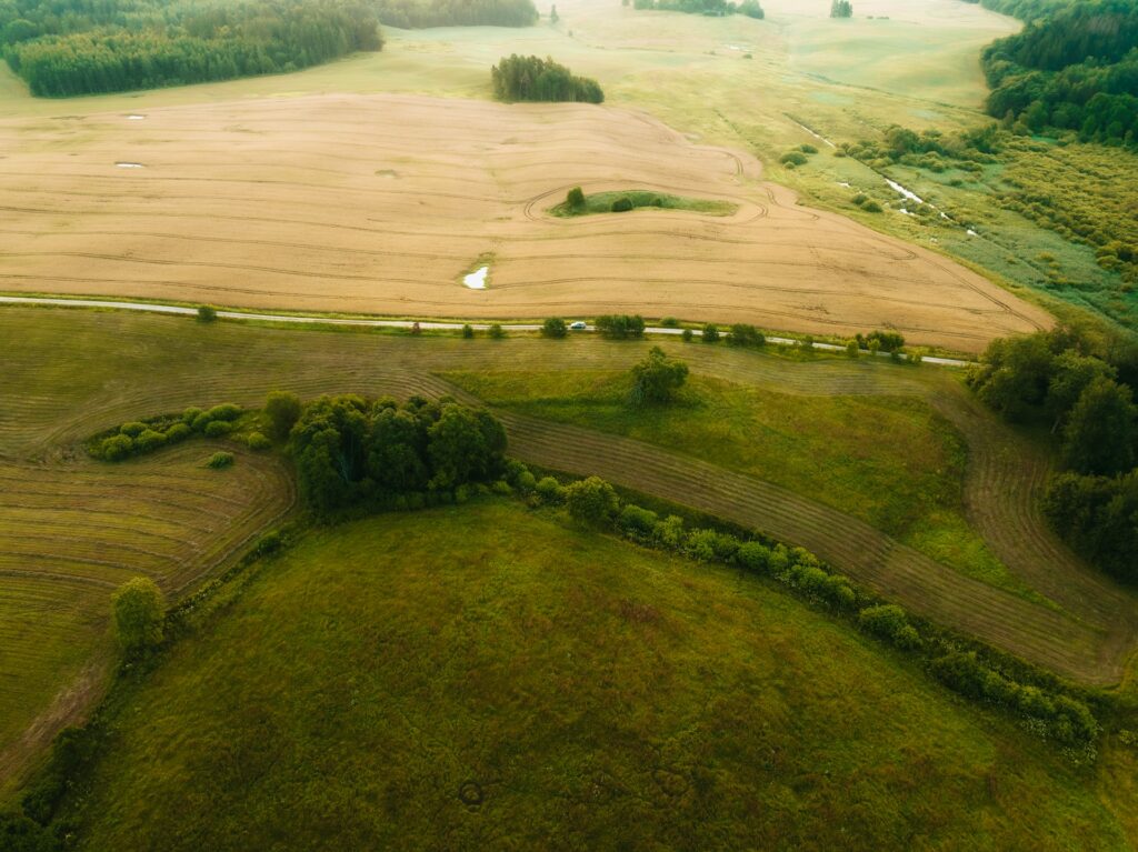 Undeveloped Land