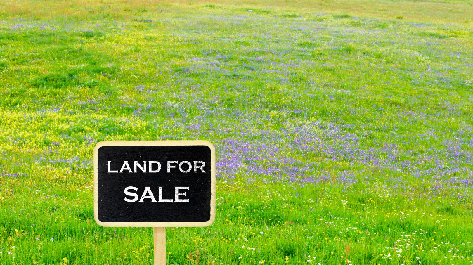 land for sale