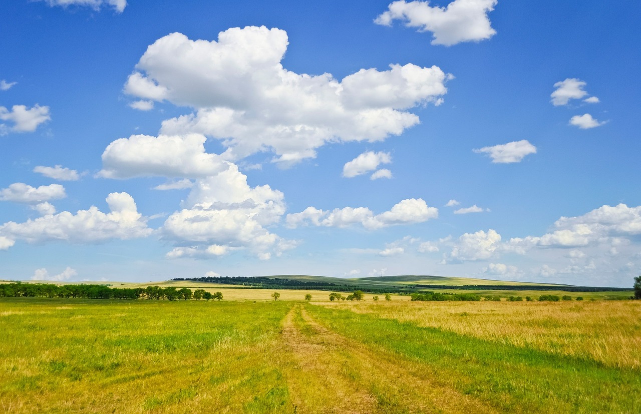 buying Land